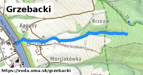 Grzebacki