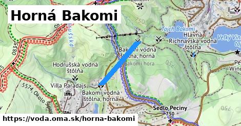 Horná Bakomi