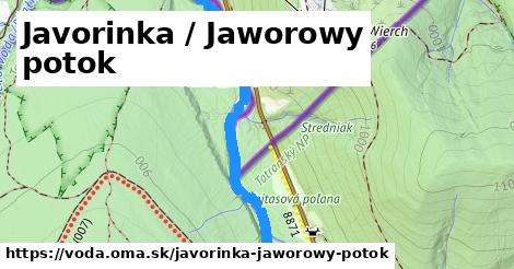 Javorinka / Jaworowy potok