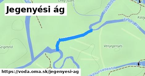 Jegenyési ág