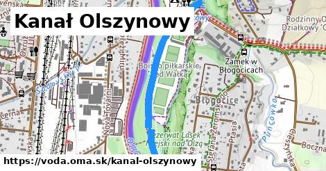 Kanał Olszynowy