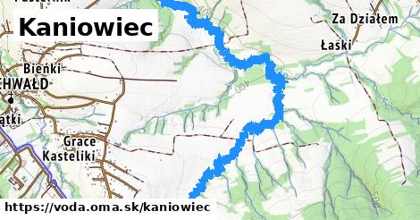 Kaniowiec