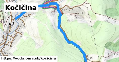 Kočičina