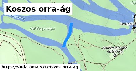 Koszos orra-ág