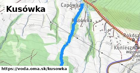 Kusówka