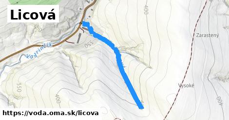 Licová