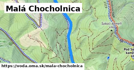 Malá Chocholnica