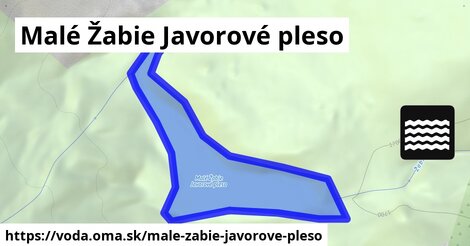 Malé Žabie Javorové pleso