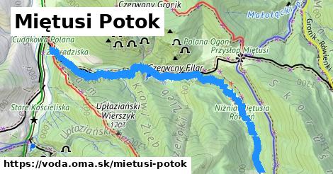 Miętusi Potok