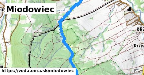 Miodowiec