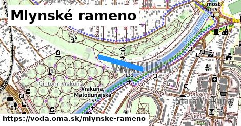 Mlynské rameno