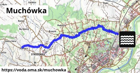 Muchówka