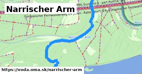 Narrischer Arm