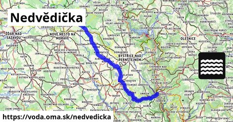 Nedvědička