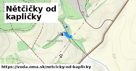 Nětčičky od kapličky