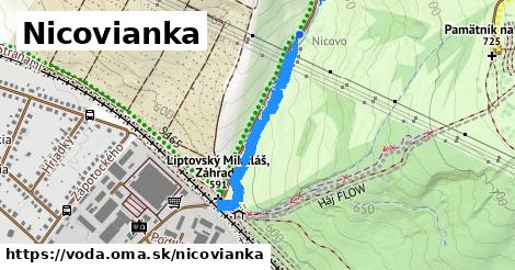 Nicovianka