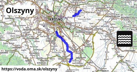 Olszyny