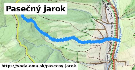 Pasečný jarok