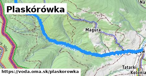 Plaskórówka