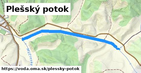 Plešský potok