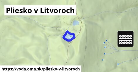 Pliesko v Litvoroch