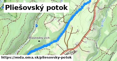 Pliešovský potok