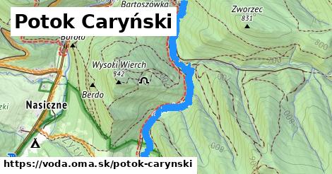 Potok Caryński