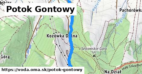 Potok Gontowy