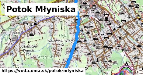 Potok Młyniska