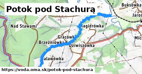 Potok pod Stachurą