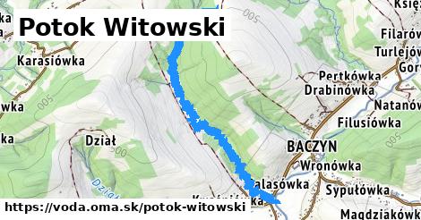 Potok Witowski