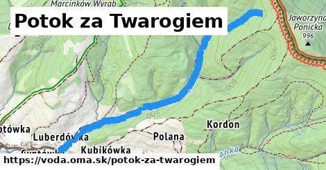 Potok za Twarogiem