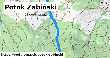 Potok Żabiński