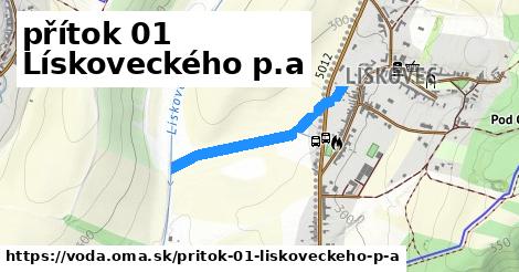 přítok 01 Lískoveckého p.a