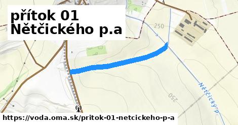 přítok 01 Nětčického p.a