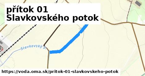 přítok 01 Slavkovského potok