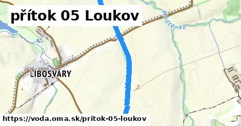 přítok 05 Loukov