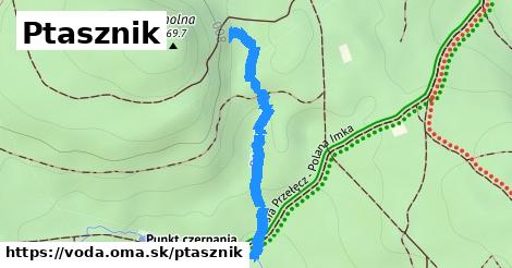 Ptasznik