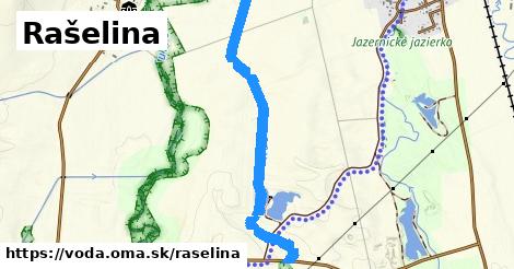 Rašelina