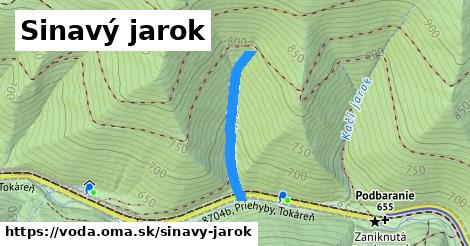 Sinavý jarok