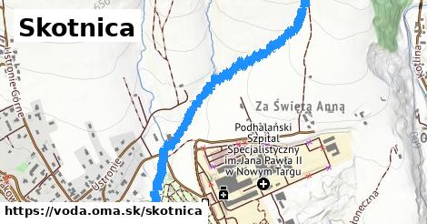 Skotnica