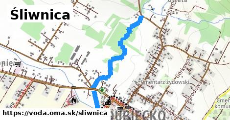 Śliwnica