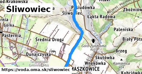 Śliwowiec