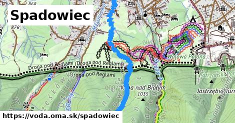 Spadowiec