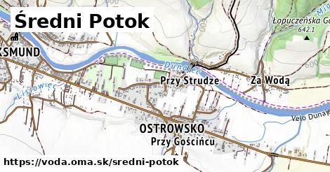 Średni Potok