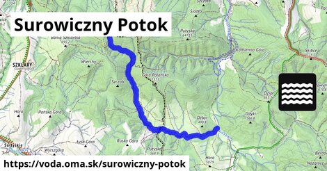 Surowiczny Potok