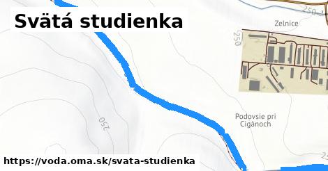 Svätá studienka