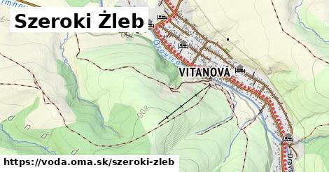 Szeroki Żleb