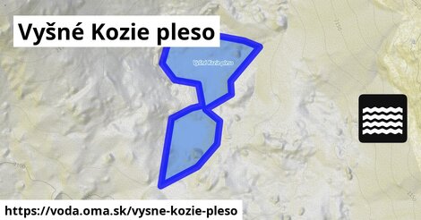 Vyšné Kozie pleso