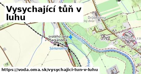 Vysychající tůň v luhu